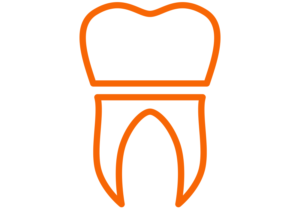 Prótesis Dental